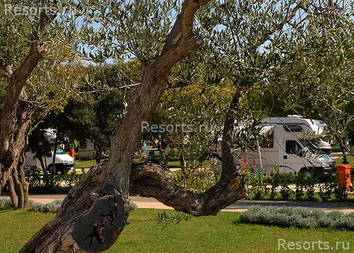 Polari Camping 6